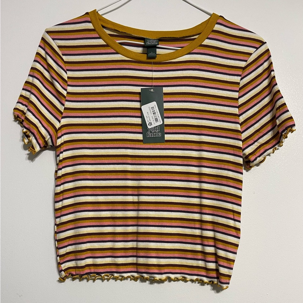 911:  Wild Fable Multicolor Striped Short Sleeve Fitted Tee - Large